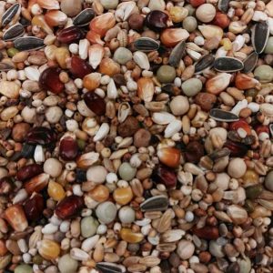 BTS Allround Topp Futter 20kg (Versandkostenfrei)