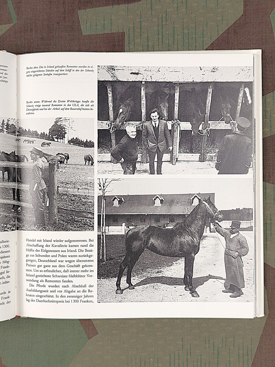 Der Eidgenoss Die Geschichte der Schweizer Kavallerie, 1975 – Bild 9