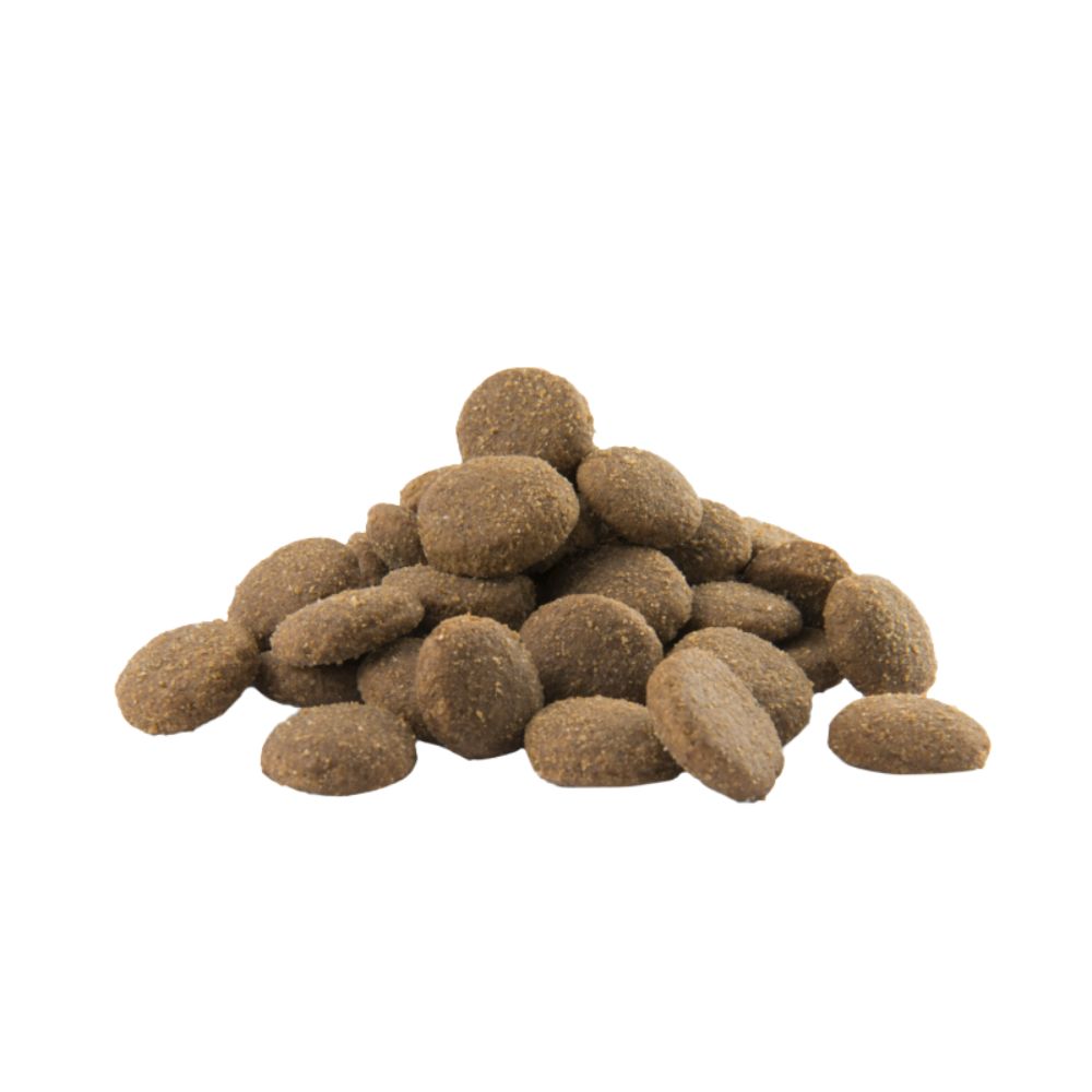 Versele-Laga Opti-Life Adult Maxi 12,5kg – Bild 2